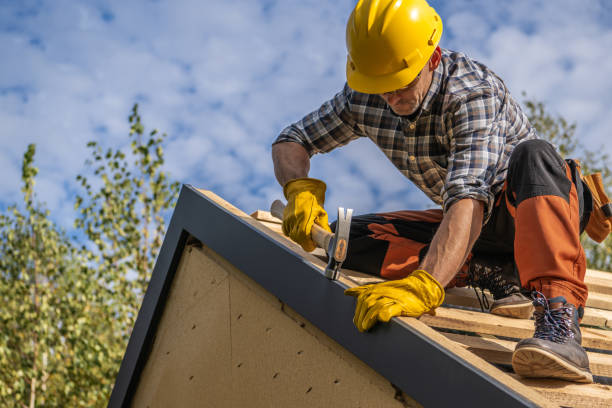 Best Solar Panel Roofing Installation  in Lavonia, GA